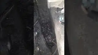 Impala 5 volt reference