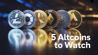 5 Altcoins With Real Utility Every Beginner Should Research for the Next Cycle