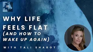 Why We Stop Noticing What Matters and How to Feel Alive Again with Tali Sharot| The One You Feed