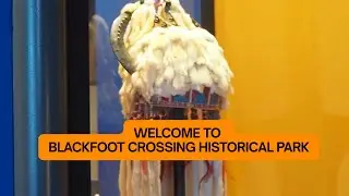 Blackfoot Crossing Where Past Meets Present