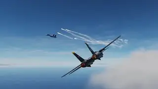 DCS F-14 vs SU-27 Dogfight VR