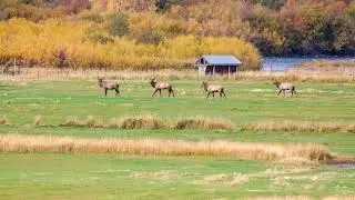 January 13, 2026 - Rio Blanco County Board of County Commissioners Meeting