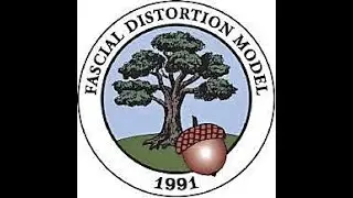 Interview with Dr. Stephen P. Typaldos inventor of the Fascial Distortion Model in Physical Medicine