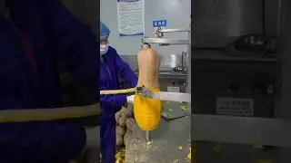 Amazing Machine Peeling Butternut Squash in Seconds | Modern Food Processing Technology
