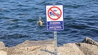 Dog didn't stop to read the 