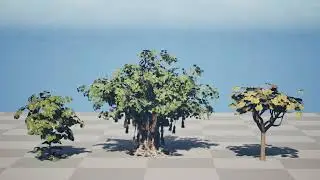 Arabian Socotran Fig Tree Collection 3d animation with unreal engine