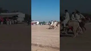 beautiful ghora son of karmawala owner malik rizwan (bahria town)//neza bazi//