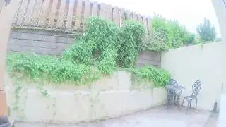 Video Tour - Character Cottage, Combeinteignhead