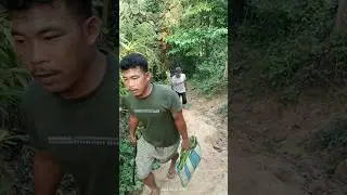 Bamboo Cooking Rice | beautiful jungl. 🔥#youtubeshorts #shorts #shortvideo #short viral #short