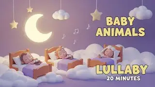 Baby Animals Bedtime Lullaby 🐶🐱🐰🌙🎶 | 20-Minute Sleep Music for Kids | Animagic Studio