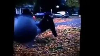 Surprise leaf scare prank