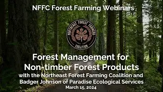 Forest Management for NTFPs: Forest Stand Improvement with Mushrooms in Mind