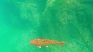 Lake Hydra 081025