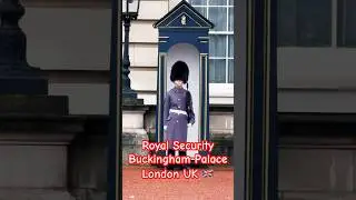 Royal Security For Buckingham Palace London United Kingdom 🇬🇧 @rajanadeemvlog  #shortvideo