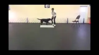 Teaching the Kickback Stand