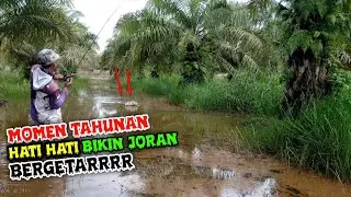 JANGAN HERAN KALO KUBANGAN INI DI PENUH IKAN GABUS LAPAR // CASTING IKAN GABUS