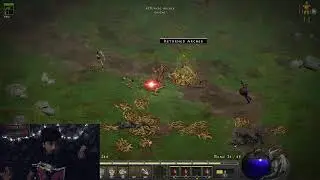 werewolf druid leveling/diablo 2