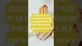 Discover the Accidental Origins of Cheese: A Cheesy Tale of Serendipity!