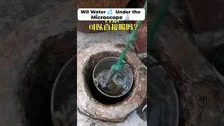 Wll Water 💦 under the microscope 🔬😳 #shortsfeed #microscopevideo