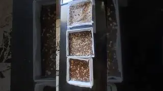 2kg brownie order #trending #shortvideo #shorts #shortsviral
