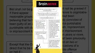 When Can Bail Be Taken in Non-Bailable Cases? | Indian Law | Section 480 BNSS