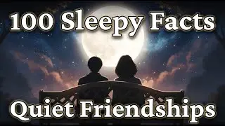 What Science Says About Friendships Between Introverts (A Calm Science Documentary)