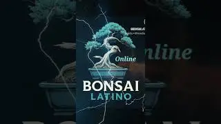 Bonsai Latino Vivero Sofu-en Costa Rica a su servicio