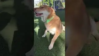 Sookie Having Her Fun In The Sun!
