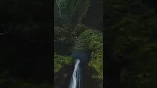 🌳🏞
