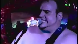 The Sheckies - Live at the Spitfire