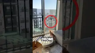 Этот кот думал, что за ним следит дрон, но&hellip;
