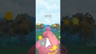Zygarden W2 G1 rematch