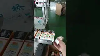 auto cartoner for 60ml e liquid bottle with turntable feeder|YQ erecting small box system #factory