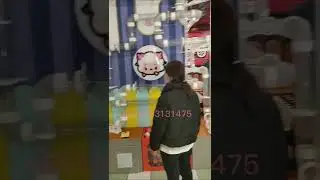 Children play equipment,Children museum equipment,Commercial Indoor Playground,Educational game