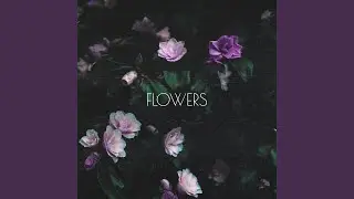 Carnations
