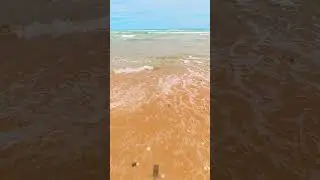 🏖️✨️ Endless golden sands along the Ninety Mile Beach coastline 🌊
