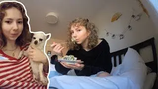 VLOGG med LAKIDORRAN
