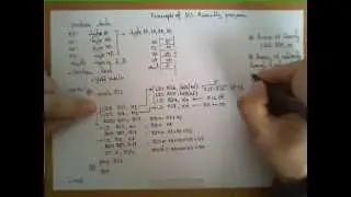 Example of an AVR Assembly Program