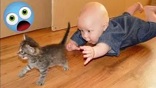 FUNNY DOG MEMES 😺🐶 and MOST TRENDING PUPPY 2023 v144 |🔥 Moments of Cute Animal | You Laugh You Lose