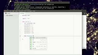Golang - Array Length