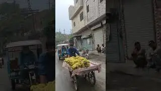 shadbagh lahore