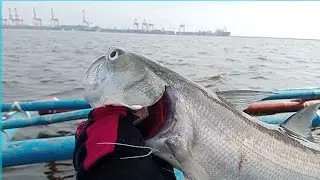 Paldo ako sa nahuli ko #fishingspot #Manilabay #philipines #jig30g #fishingislife @kabanwitfishingtv