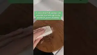 Natural Loofah Dishwashing Sponge (Eco-Friendly Alternatives) #shorts