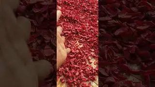 gutkha making raw material #Short #shortsfeeds  #shortsvideo