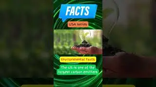 What are America's biggest environmental challenges? #USA #WorldFacts #Environment #shorts