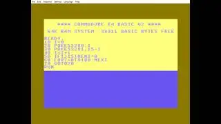 Flashing border and paper in C64