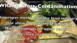 Cross Contamination By Jordan Dunford