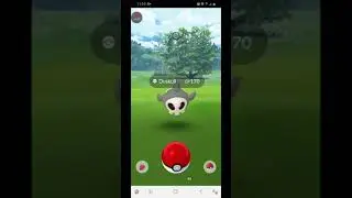 duskull community day
