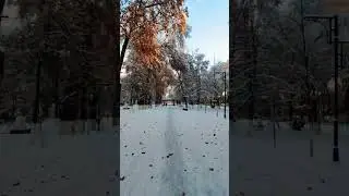 🐾❄️🎶 Indamadi (remix) | BULVAR #qish #2023 #samarqand #travel #shorts