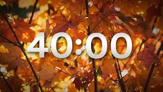 FALL 40 MIN TIMER